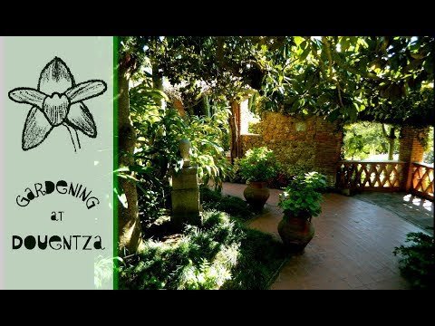 🌺 Visit Botanical Gardens in Spain 🌷🌳