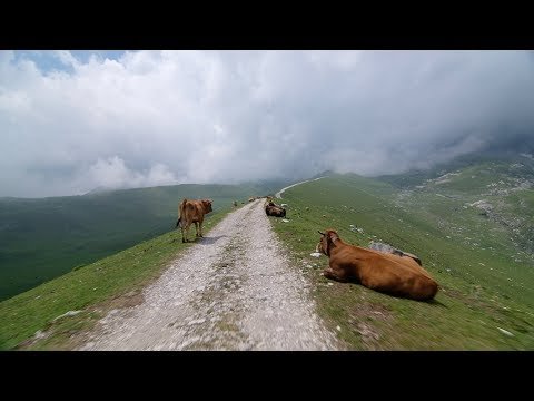 🚲 Romantic Road Cycling: Scenic Landscapes 🚲🏞️