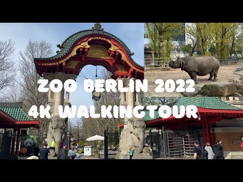 🐼 Berlin Zoo Tours: Animal Adventures 🐼🦁