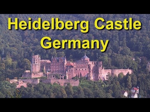 🏰 Explore Heidelberg Castle: Panoramic Views 🌄🏰